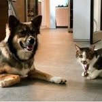 Dawn - @dawnpoh67 - Instagram