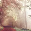 Dawn__pollitt - @dawn__pollitt - TikTok