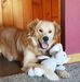 Dawn Popp - Facebook