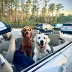 Dawn Popp - @dmp1118 - Instagram