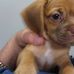 Dawn Prentice - Facebook