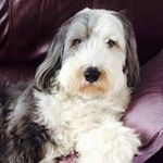 Dawn Proctor - @dawnjproctor - Instagram