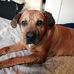 Dawn Purcell - Facebook
