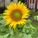 Dawn Putman - Facebook