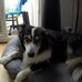Dawn Quigley - Facebook