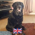 Dawn Radford - Facebook