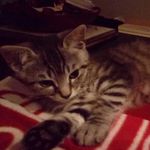 Dawn Radford - @dawny_dot - Instagram