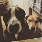 Dawn Ramirez - @dutchycooper - Instagram
