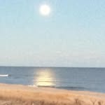 Dawn Caluri Randazzo - @dawn.c.randazzo - Instagram