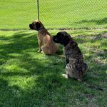 Dawn Rauch - @dmrauch - Instagram