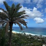 Dawn Rauch - @dawnsrauch - Instagram