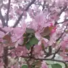 Dawn Renée - @msb23512 - TikTok