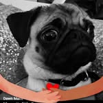 Dawn Marie Rennie - @dawnrennie12 - Instagram