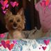 Dawn Ricci - Facebook