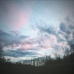 Dawn Riddle - @hdriddle - Instagram