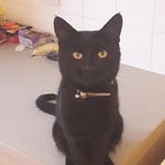 Dawn Ridge - @dawnridge9390 - Instagram