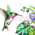 Dawn Ridgeway - @dawn.ridgeway.52 - Instagram