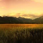 Dawnridge - @ii25dawnridge - Instagram