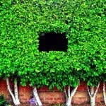 Dawnridge - @d09dawnridge - Instagram