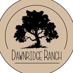 Laurie Bishop Holderman - @dawnridgeranch - Instagram