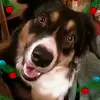 dawnroach847 - @dawnroach847 - TikTok