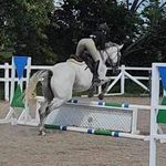 Dawn Robbins - @dawnrobbinsequestrian__ - Instagram