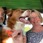 Dawn Robbins - @dawn.robbins.9465 - Instagram