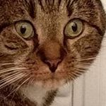 Dawn Robbins - @dawn.robbins.102 - Instagram
