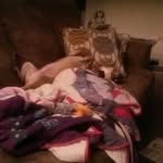 Dawn Romano Budd - @ladybudd6 - Instagram