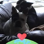 Dawn Penta-Romeo - @kearabutterball - Instagram