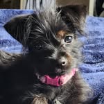 Dawn Romeo - @dawnmarieromeo - Instagram