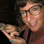 Dawn Norton Root - @dawnnortonroot - Instagram
