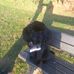 Dawn Roodt - Facebook