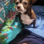 Dawn Rosen - @dawn.rosen.37 - Instagram