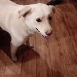 Dawn Rowe - @dawn.rowe.330 - Instagram