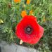 Dawn Marie Swift-Sadlowski - Facebook