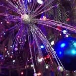 Dawn Sala - @dawnmarie0824 - Instagram