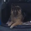 Dawn Salter - @dawn.salter4 - TikTok