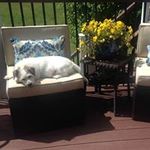 Dawn Schauer - @1113schauer - Instagram