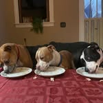 Dawn Scherer - @dawnscherer - Instagram