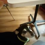 Dawn Schmitz - @dawnschmitz33 - Instagram