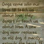 Dawn Schmitz - @mitzi42124 - Instagram