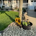 Dawn Schmitz - @dawn.gauthier.98 - Instagram