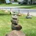 Dawn Scholl - Facebook