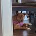 Dawn Kinney - Facebook
