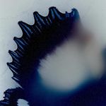 Dawn Seibert - @constantinplath398 - Instagram