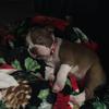 dawnseibertnorman - @dawnseibertnorman - TikTok
