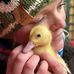 Dawn Selby - Facebook