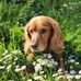 Dawn Selby - Facebook