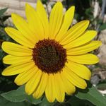Dawn Selby - @dawnrselby - Instagram